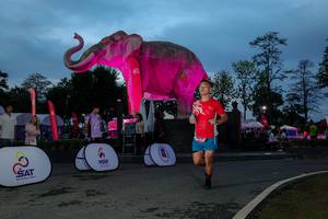 BIB: 
                            <button type="button" onclick="openModal(26529757)" class="btn btn-primary btn-sm float-right btn-popup" data-toggle="modal" data-target=".modal-high-quality">
                        <i class="fas fa-shopping-cart"></i> Add to Cart
                    </button>
                                            <button type="button" onclick="isThisMe(26529757, true)" class="btn btn-success btn-sm float-right btn-popup btn-isme hidden" data-toggle="tooltip" data-placement="bottom" title="นี่คือรูปของคุณใช่ไหม คลิกที่นี่เพื่อเอาเข้าอัลบั้ม">
                        <i class="fas fa-plus"></i> Add to album
                    </button>
                    <button type="button" onclick="isThisMe(26529757, false)" class="btn btn-warning btn-sm float-right btn-popup btn-isnotme hidden">
                        <i class="fas fa-ban"></i> Remove from album
                    </button>